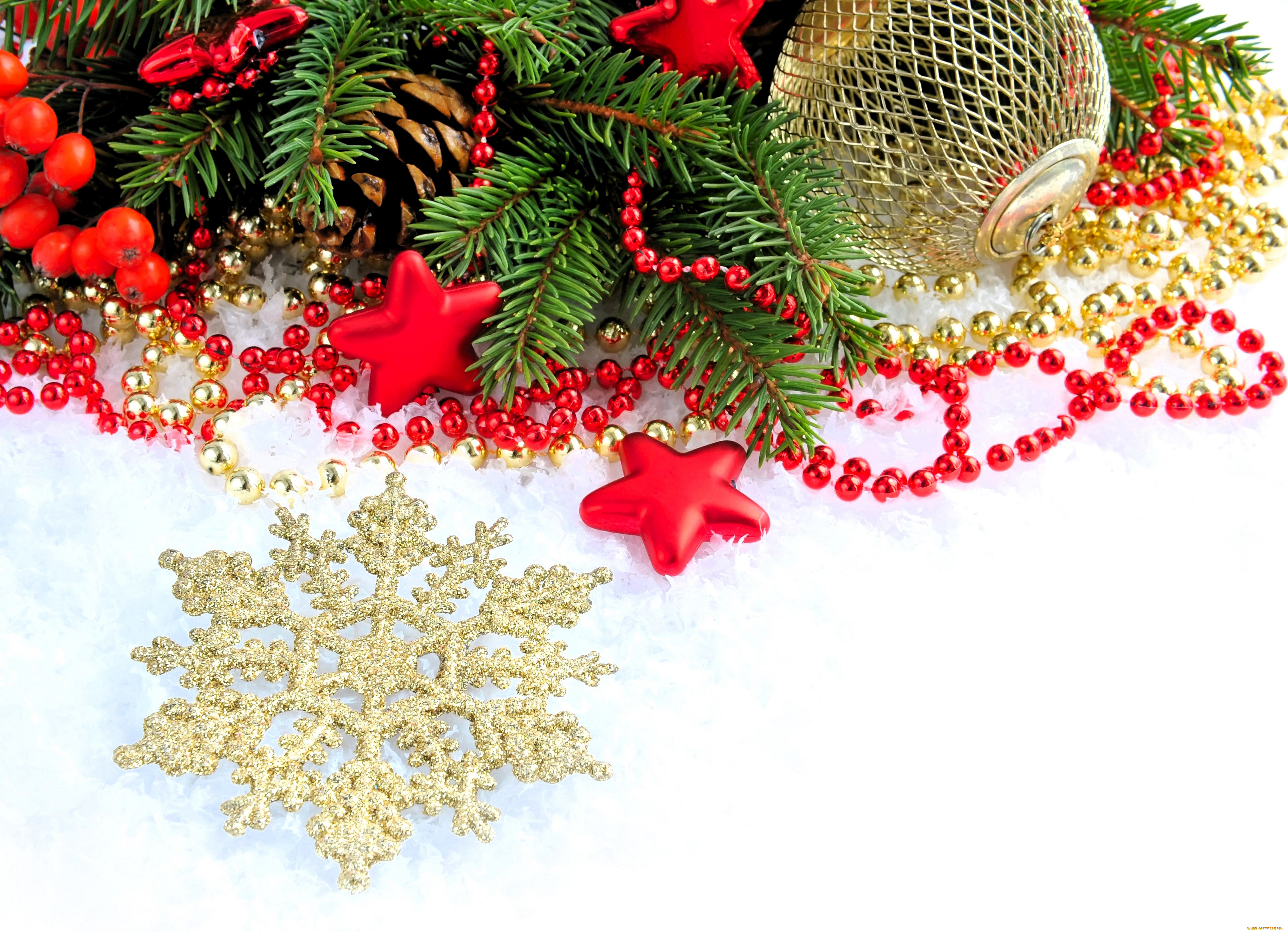 �����������, ���������, ����, �����, ��������, ��������